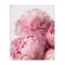 Stupell Industries Blush Pink Peonies Florals Canvas Wall Art